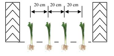 ����� ������� ������� � ���������� ��������